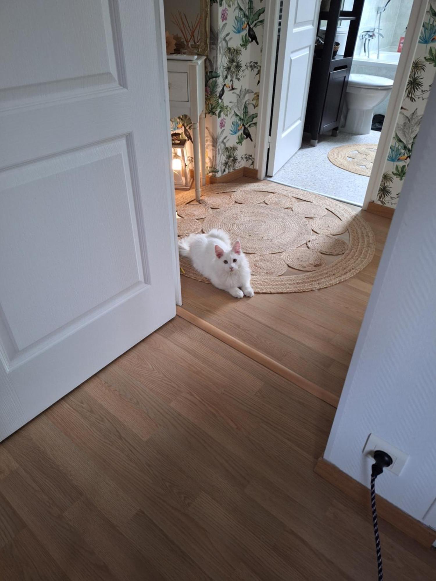 Chambre climatisée au cœur de brive avec téléviseur connecté wifi Netflix Esterno foto